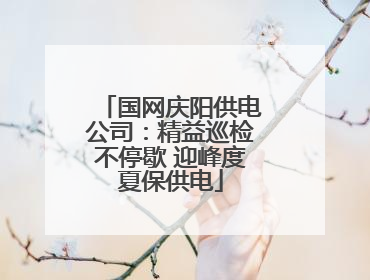 国网庆阳供电公司：精益巡检不停歇 迎峰度夏保供电