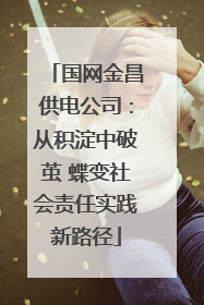 国网金昌供电公司：从积淀中破茧 蝶变社会责任实践新路径
