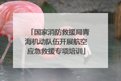 国家消防救援局青海机动队伍开展航空应急救援专项培训