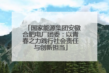 国家能源集团安徽合肥电厂团委：以青春之力践行社会责任与创新担当