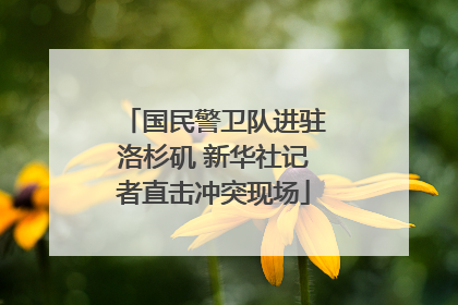 国民警卫队进驻洛杉矶 新华社记者直击冲突现场