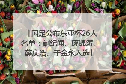 国足公布东亚杯26人名单：蒯纪闻、廖锦涛、薛庆浩、于金永入选