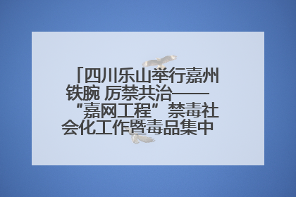 四川乐山举行嘉州铁腕 厉禁共治——“嘉网工程”禁毒社会化工作暨毒品集中销毁启动仪式