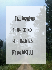 因驾驶舱有烟味 英国一航班改降奥地利