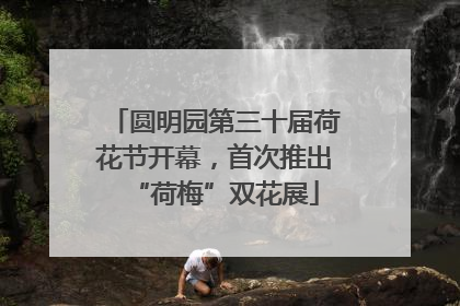 圆明园第三十届荷花节开幕，首次推出“荷梅”双花展