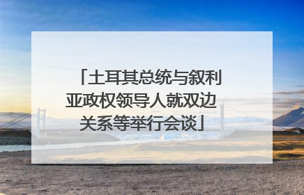 土耳其总统与叙利亚政权领导人就双边关系等举行会谈
