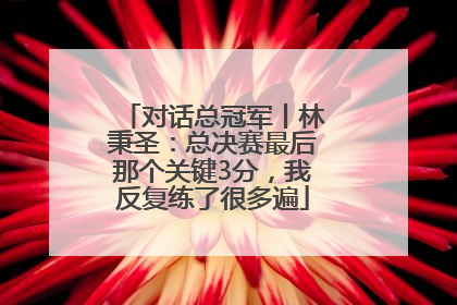 对话总冠军丨林秉圣：总决赛最后那个关键3分，我反复练了很多遍