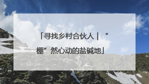 寻找乡村合伙人｜“棚”然心动的盐碱地