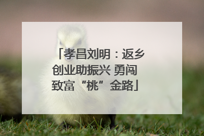 孝昌刘明：返乡创业助振兴 勇闯致富“桃”金路
