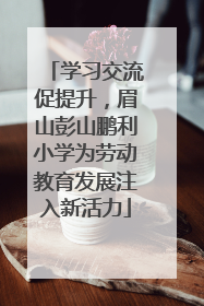 学习交流促提升，眉山彭山鹏利小学为劳动教育发展注入新活力