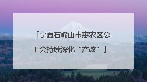 宁夏石嘴山市惠农区总工会持续深化“产改”