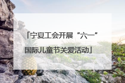 宁夏工会开展“六一”国际儿童节关爱活动