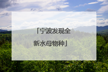 宁波发现全新水母物种