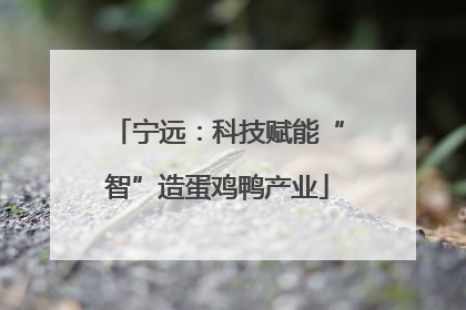 宁远：科技赋能“智”造蛋鸡鸭产业