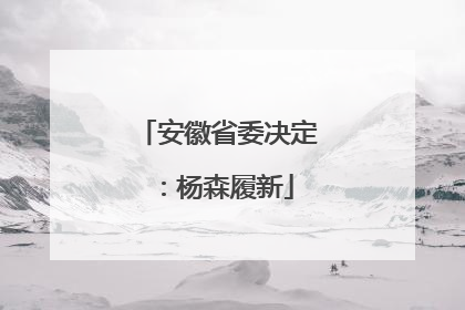 安徽省委决定：杨森履新