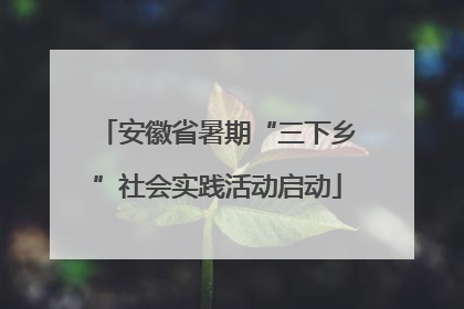 安徽省暑期“三下乡”社会实践活动启动