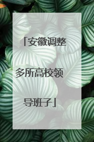 安徽调整多所高校领导班子