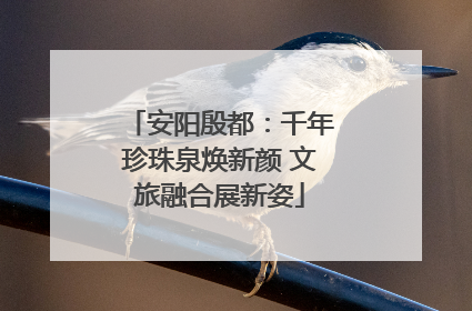 安阳殷都：千年珍珠泉焕新颜 文旅融合展新姿