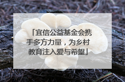 宜信公益基金会携手多方力量，为乡村教育注入爱与希望