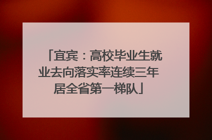 宜宾：高校毕业生就业去向落实率连续三年居全省第一梯队