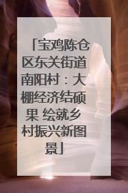 宝鸡陈仓区东关街道南阳村：大棚经济结硕果 绘就乡村振兴新图景