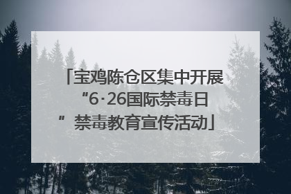 宝鸡陈仓区集中开展“6･26国际禁毒日”禁毒教育宣传活动