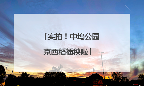 实拍！中坞公园京西稻插秧啦
