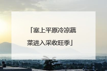 塞上平原冷凉蔬菜进入采收旺季
