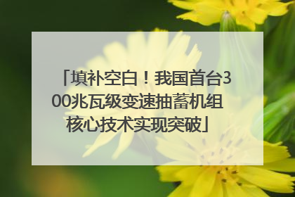 填补空白！我国首台300兆瓦级变速抽蓄机组核心技术实现突破