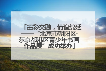 墨彩交融，情谊绵延——“北京市朝阳区·东京都港区青少年书画作品展”成功举办
