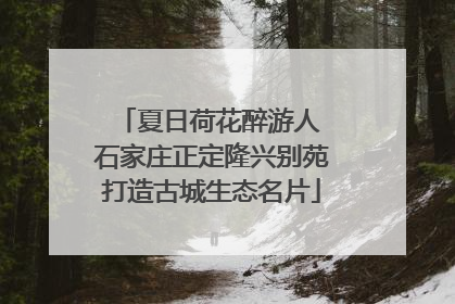 夏日荷花醉游人 石家庄正定隆兴别苑打造古城生态名片