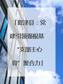 夏津县：党建引领强根基 “支部主心骨”聚合力