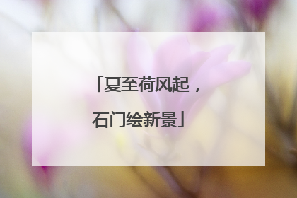夏至荷风起，石门绘新景