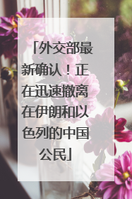 外交部最新确认！正在迅速撤离在伊朗和以色列的中国公民