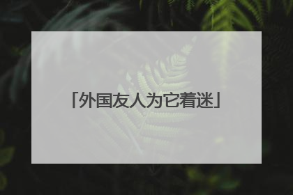 外国友人为它着迷