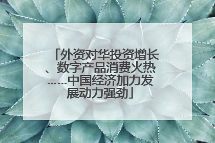 外资对华投资增长、数字产品消费火热……中国经济加力发展动力强劲