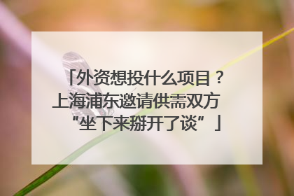外资想投什么项目？上海浦东邀请供需双方“坐下来掰开了谈”