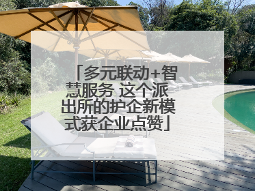 多元联动+智慧服务 这个派出所的护企新模式获企业点赞