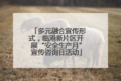 多元融合宣传形式，临港新片区开展“安全生产月”宣传咨询日活动