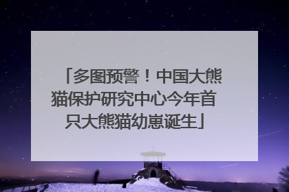 多图预警！中国大熊猫保护研究中心今年首只大熊猫幼崽诞生