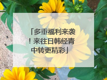 多重福利来袭！来往日韩经青中转更精彩