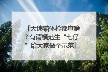 大熊猫体检都查啥？有请模范生“七仔”给大家做个示范