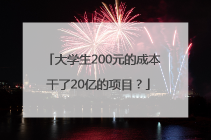 大学生200元的成本干了20亿的项目？