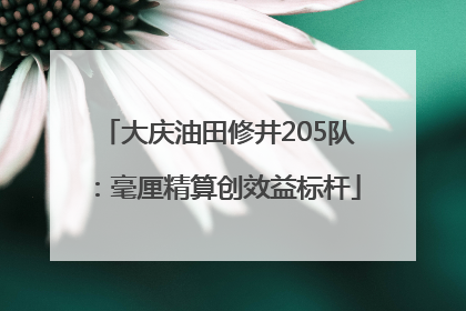 大庆油田修井205队：毫厘精算创效益标杆