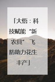 大悟：科技赋能“新农具” 飞防助力花生丰产