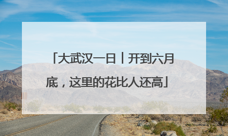 大武汉一日︱开到六月底，这里的花比人还高