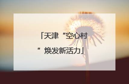 天津“空心村”焕发新活力