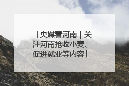 央媒看河南｜关注河南抢收小麦、促进就业等内容