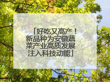 好吃又高产！新品种为安徽蔬菜产业高质发展注入科技动能