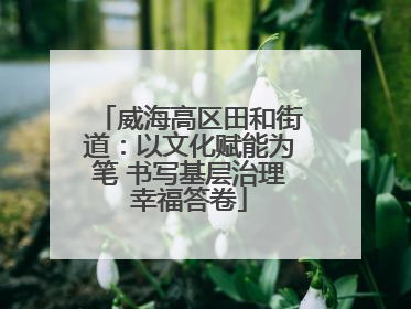 威海高区田和街道：以文化赋能为笔 书写基层治理幸福答卷